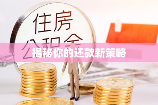 乌兰浩特揭秘你的还款新策略