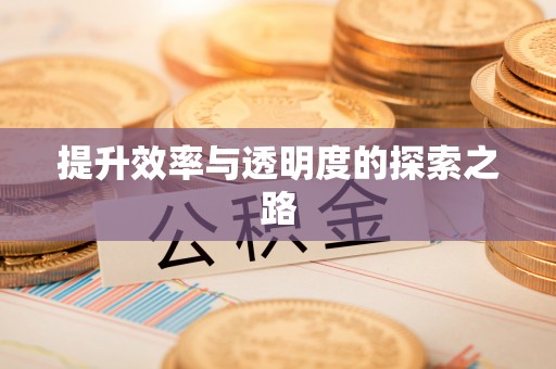乌兰浩特提升效率与透明度的探索之路