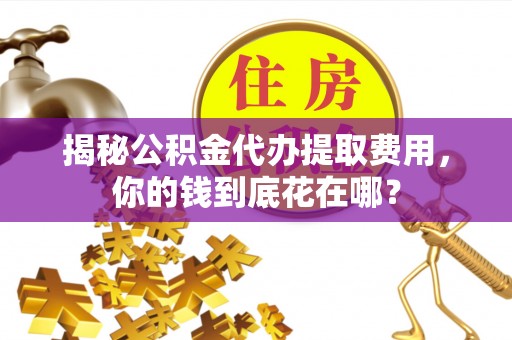 乌兰浩特揭秘公积金代办提取费用，你的钱到底花在哪？